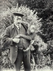 Tierpfleger Z. Rodwell hält einen jungen Orang-Utan im Londoner Zoo, Oktober 1913